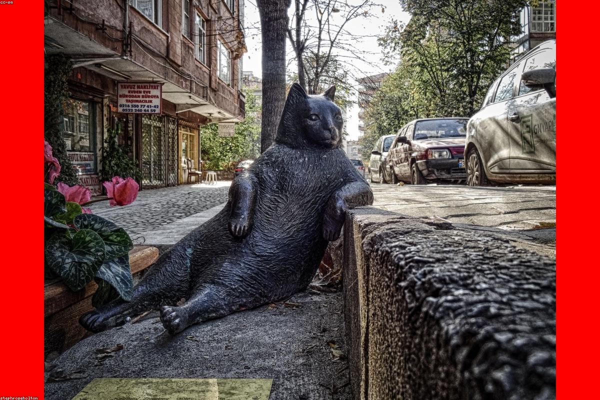 Photographe réglant un boîtier reflex sur trépied en studio